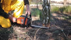 Mulching Services in Oak View, CA