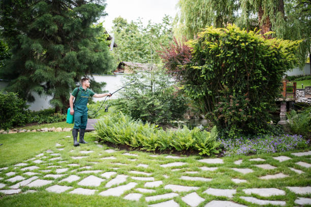 Best Tree Trimming and Pruning  in Oak View, CA