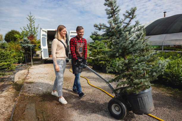 Professional Tree Services in Oak View, CA